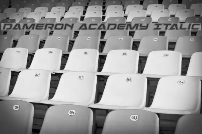 Dameron Academy Italic Font examples