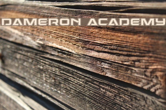 Dameron Academy Font examples