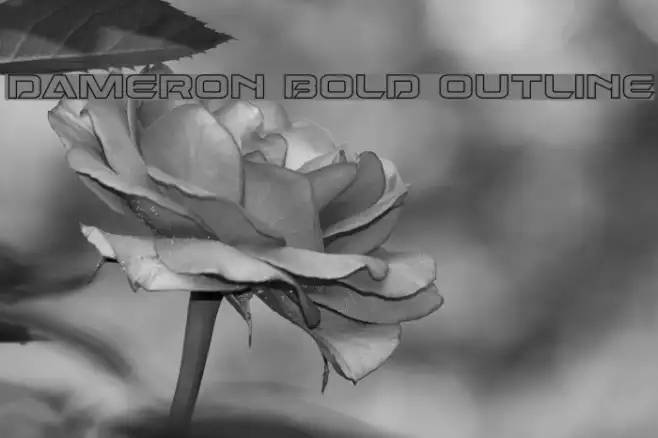 Dameron Bold Outline Example 1