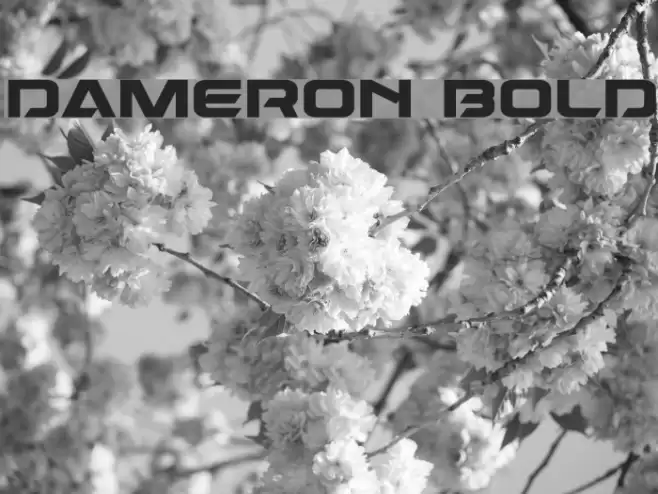 Dameron Bold Font examples