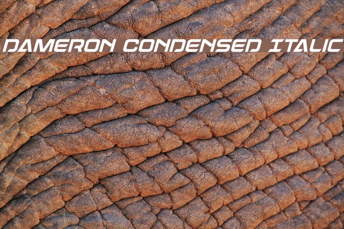 Dameron Condensed Italic Font examples