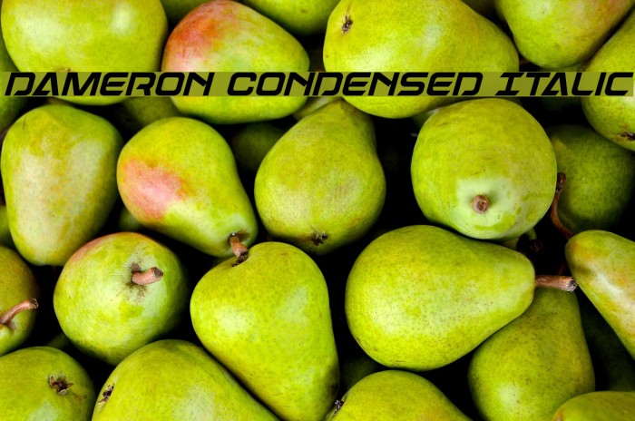 Dameron Condensed Italic Font examples