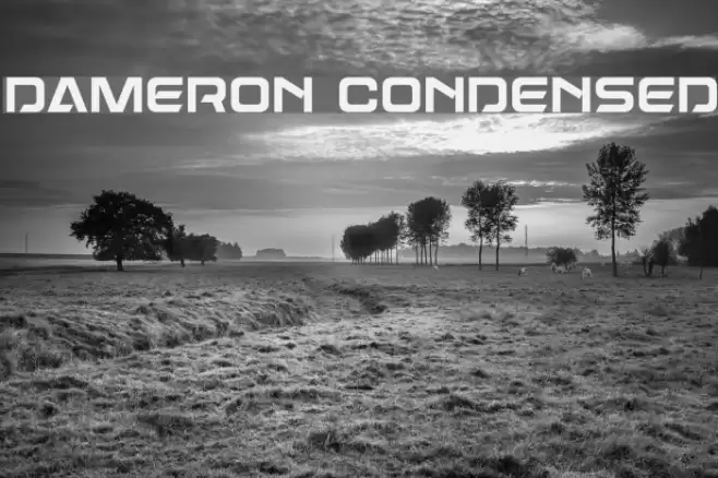 Dameron Condensed Font examples