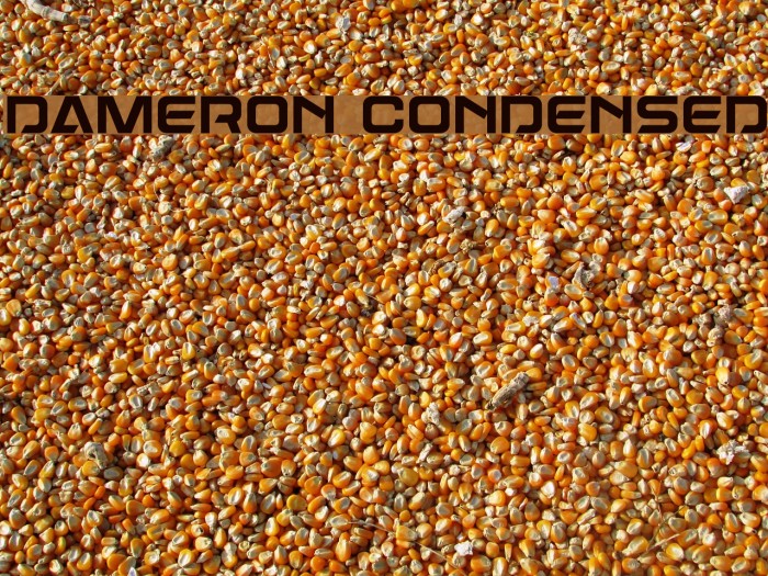 Dameron Condensed Example 2