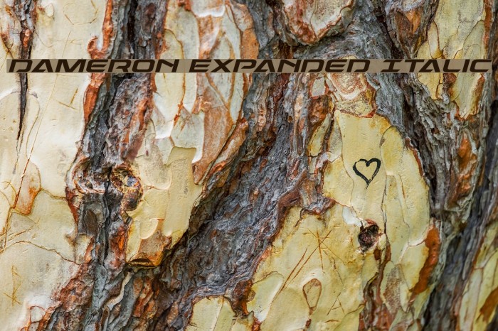 Dameron Expanded Italic Example 1