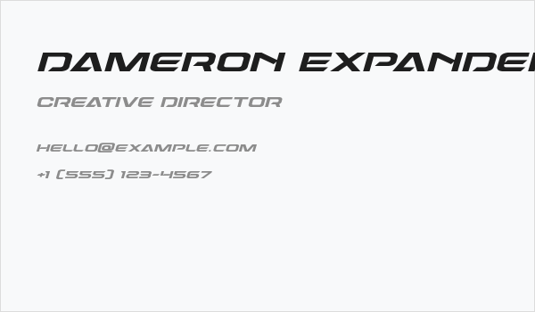 Dameron Expanded Italic Business Card