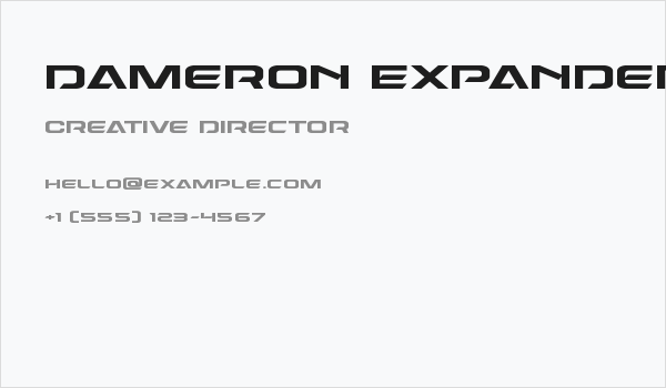Dameron Expanded Business Card