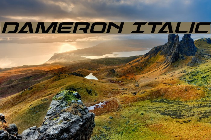 Dameron Italic Font examples