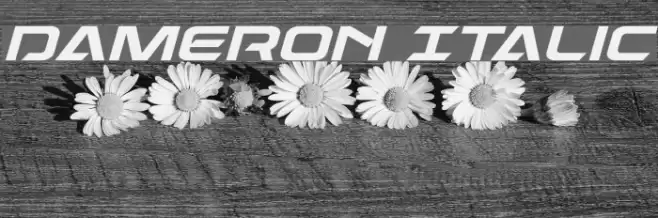 Dameron Italic Font examples