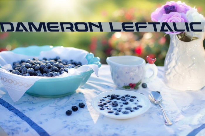 Dameron Leftalic Font examples