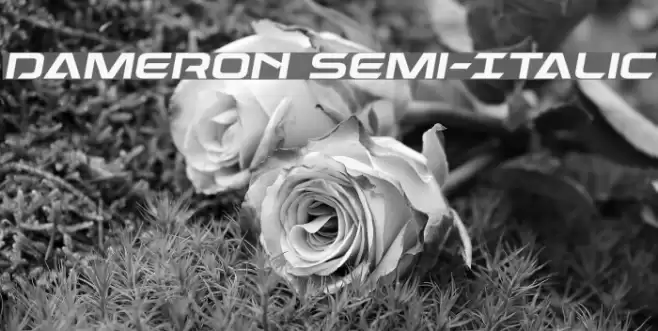 Dameron Semi-Italic Font examples