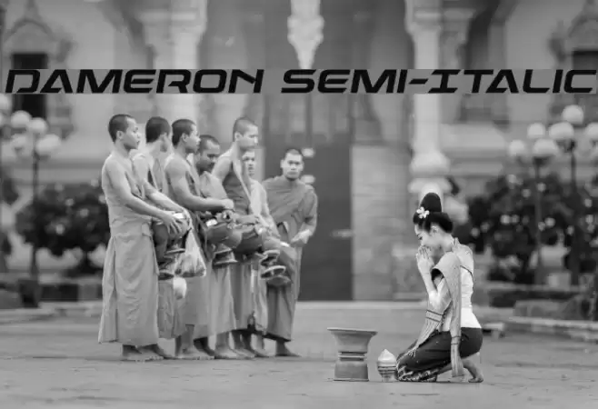 Dameron Semi-Italic Font examples