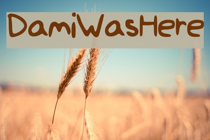 Dami_Was_Here Font examples