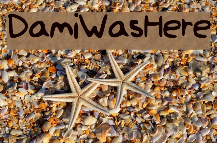 Dami_Was_Here Font examples