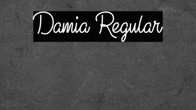Damia Regular Example 1