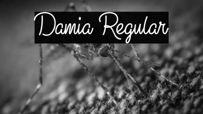 Damia Regular Example 2