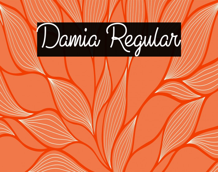 Damia Regular Example 3