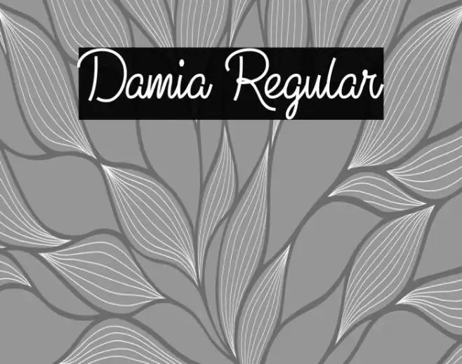 Damia Regular Example 3