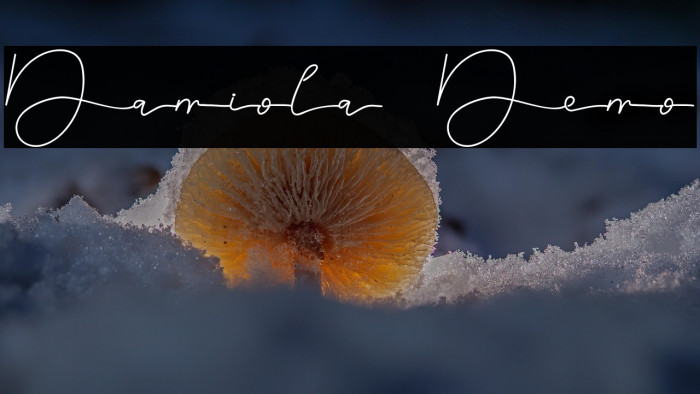 Damiola Demo Example 1