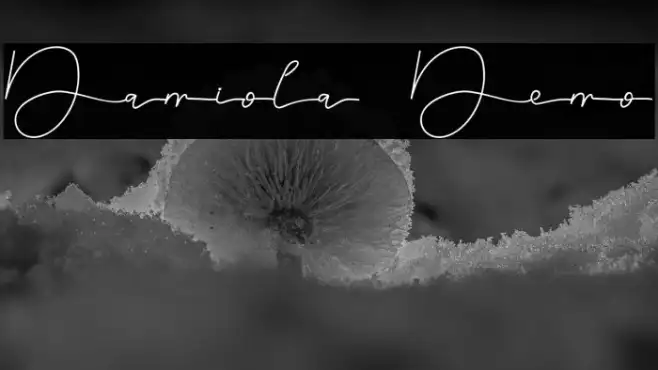 Damiola Demo Example 1