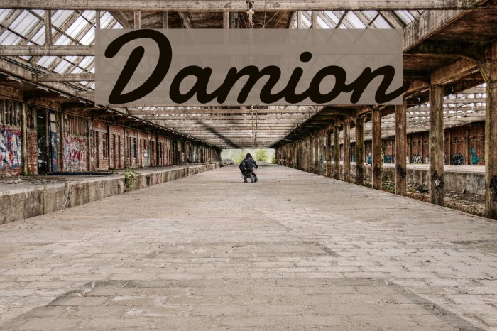 Damion Font examples