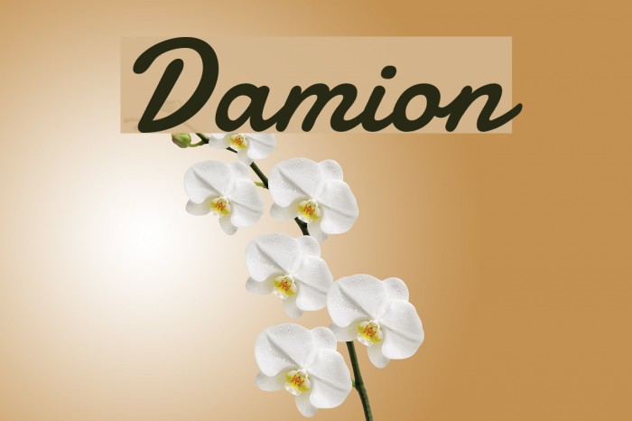 damion valletta