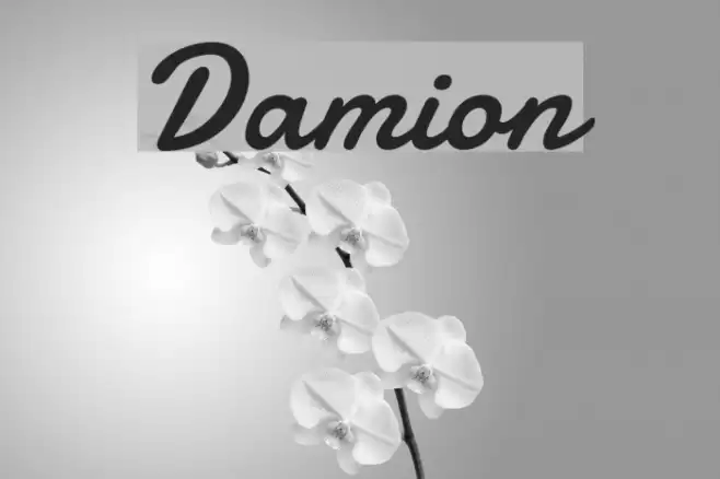 Damion Font examples