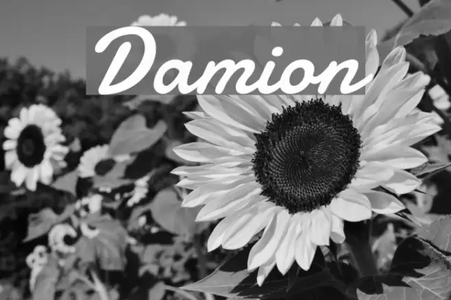 Damion Font examples