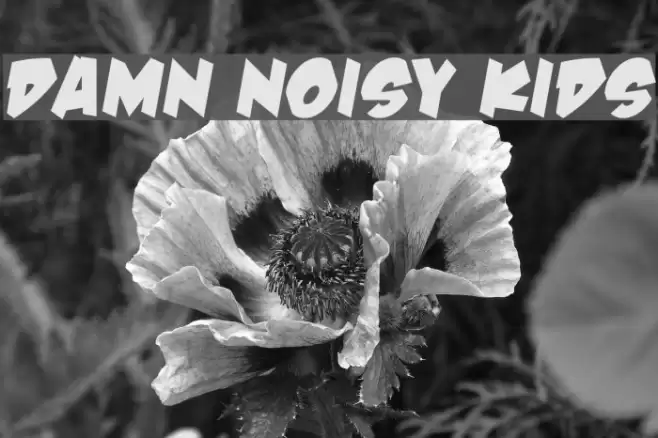 Damn Noisy Kids Font examples