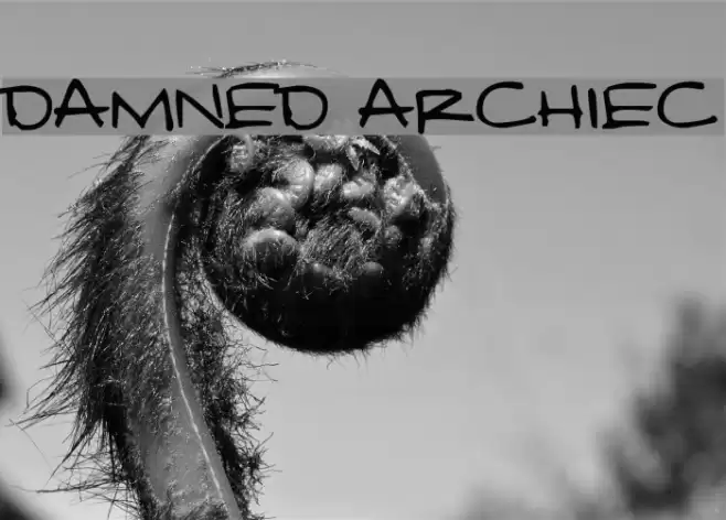 Damned Architect Font examples