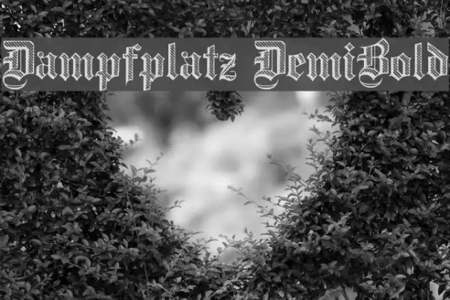 Dampfplatz DemiBold Polices examples