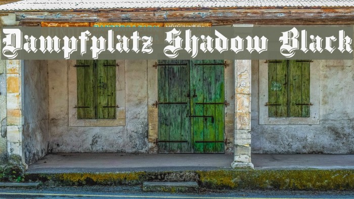 Dampfplatz Shadow Black Polices examples