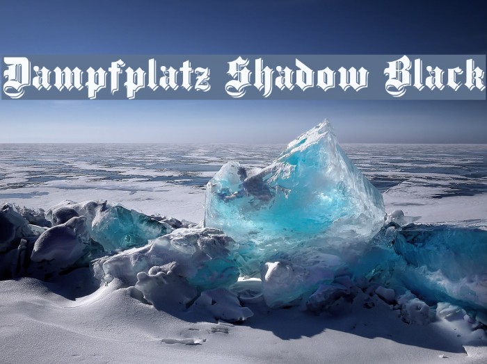 Dampfplatz Shadow Black Polices examples