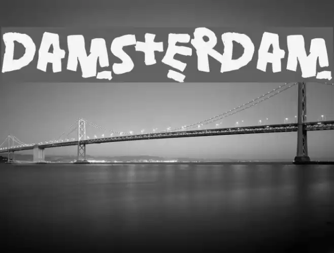 Damsterdam Polices examples