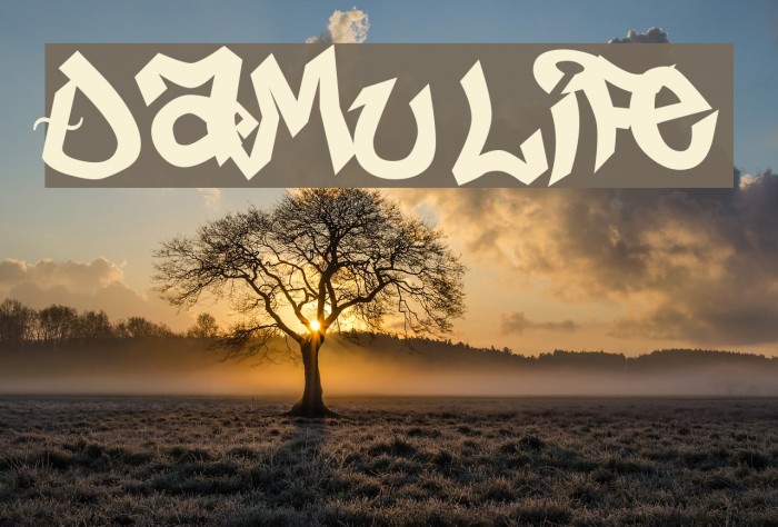 Damu life Font examples