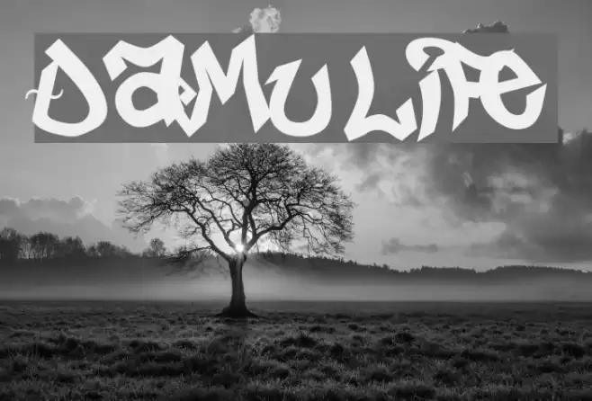 Damu life Polices examples