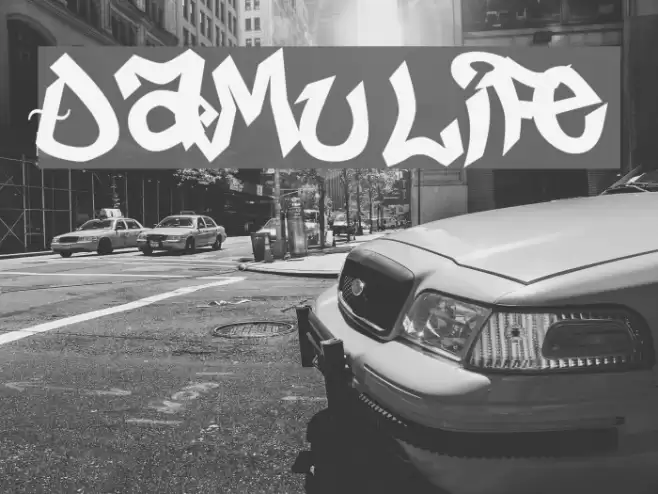 Damu life Polices examples