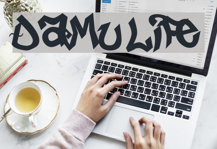 Damu life Font examples