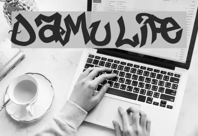 Damu life Polices examples