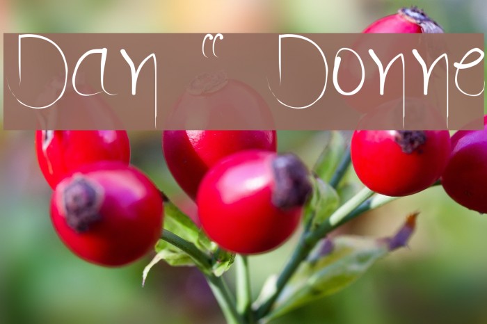 Dan ` Donne Font examples