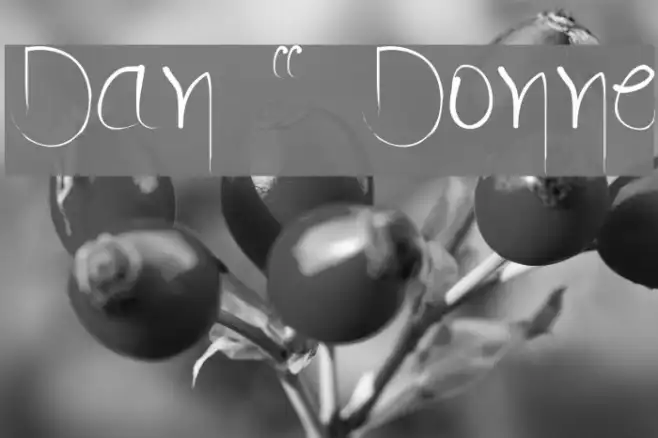 Dan " Donne Example 2