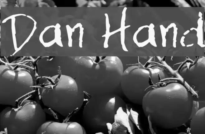Dan Hand Font examples