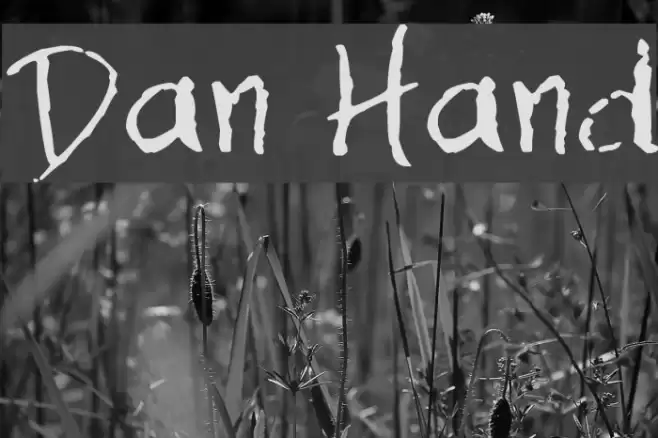 Dan Hand Font examples