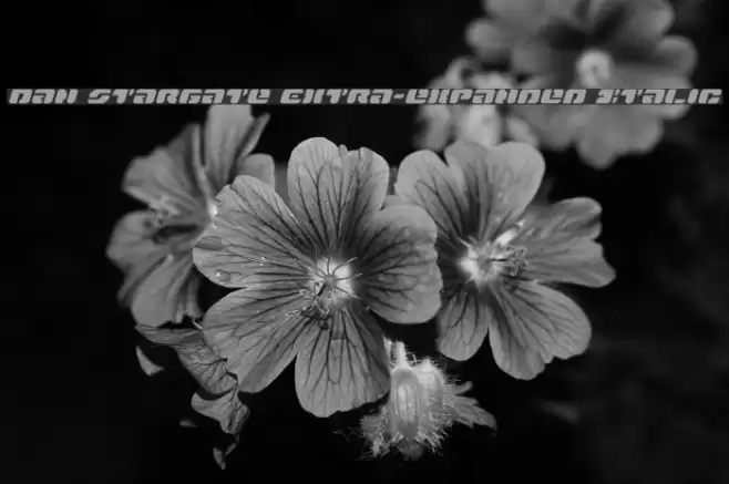 Dan Stargate Extra-expanded Italic Schriftart examples