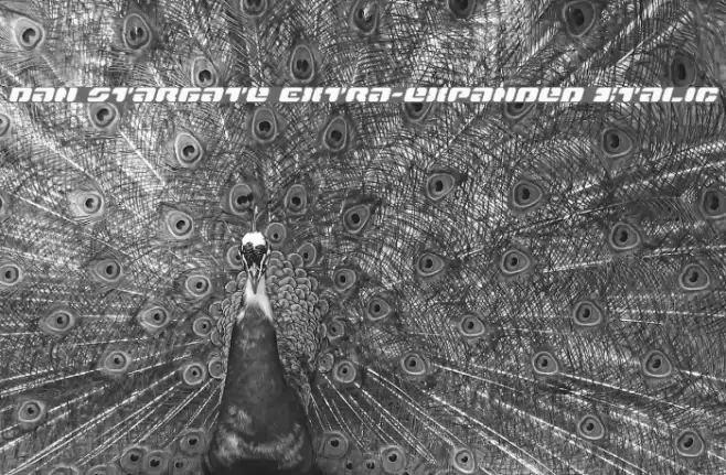 Dan Stargate Extra-expanded Italic Schriftart examples