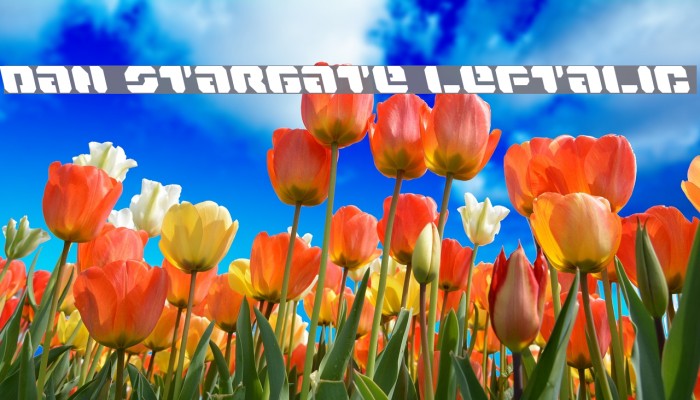 Dan Stargate Leftalic Font examples