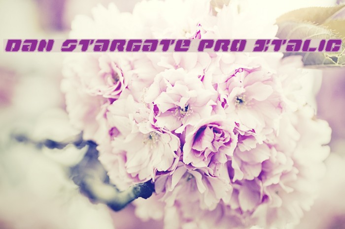 Dan Stargate Pro Italic Example 3