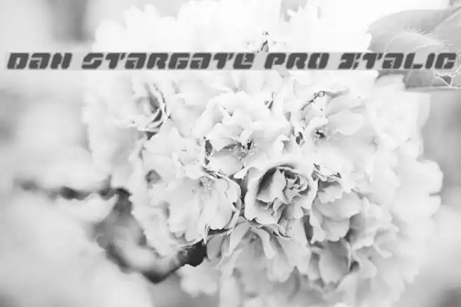 Dan Stargate Pro Italic Font examples