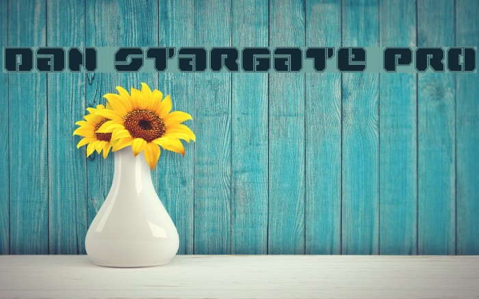 Dan Stargate Pro Font examples