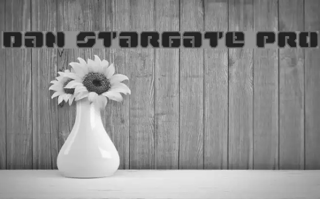 Dan Stargate Pro Example 1